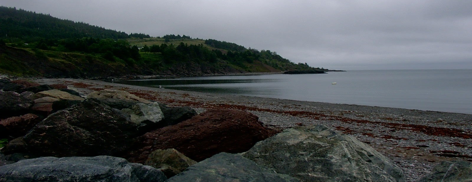 Antigonish and the Sunshine Trail