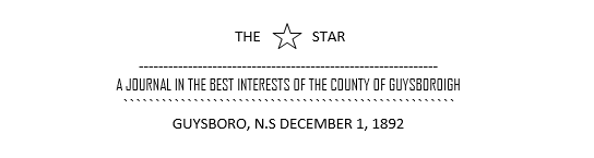 Star Newspaper